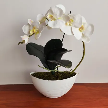 아파트 Central With A View 바르샤바