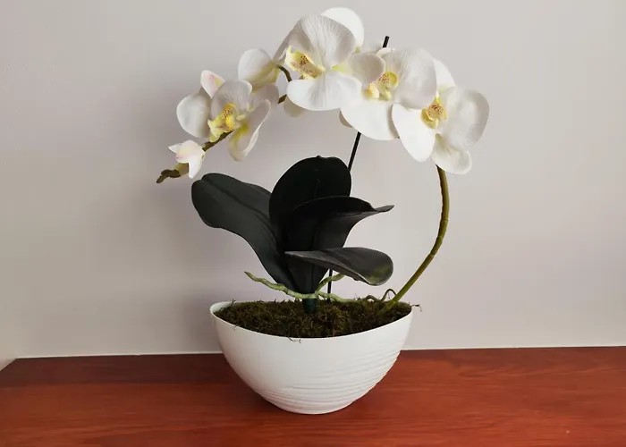 Apartman Central With A View Varsó